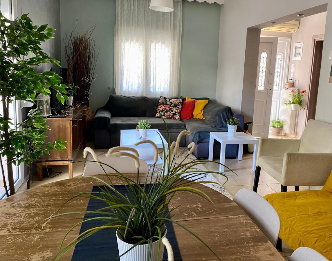 Oasis Luxury Detached House In Thessaloniki With Hydromassage Lägenhet Exteriör bild
